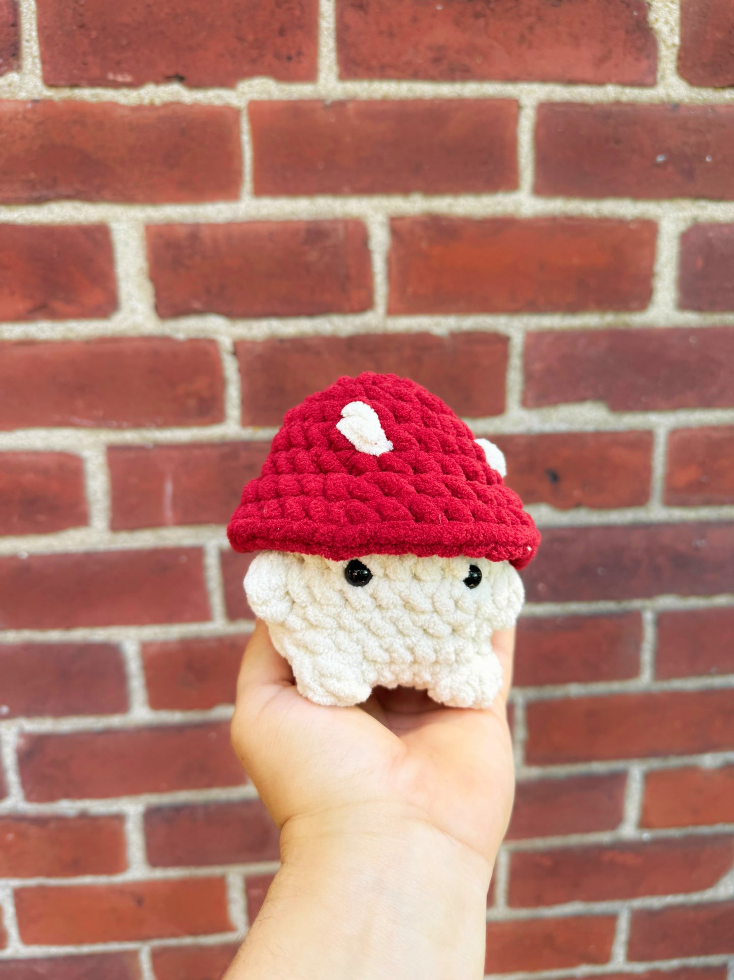 Mushroom Buddy